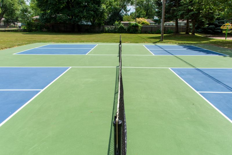 Court Repair in Spring